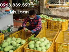 Sóng nhựa hở 3t9 đựng cam, xoài, bưởi, rổ đựng trái cây / 0963 839 593 Ms.Loan