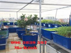 Cung cấp thùng nhựa tròn nuôi cá, chậu nhựa trồng cây, đựng hóa chất  - 096 3839 597 Ms Kính