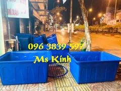 Thùng nhựa chữ nhật 300 lít, tank nhựa nuôi cá, trồng rau - 096 3839 597 Ms Kính