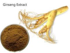 Nguyên liệu chiết xuất Cao hồng sâm Panax ginseng