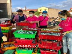 Rổ nhựa hở, sóng nhựa đựng linh kiện, thành phẩm - rổ đựng hải sản / 0963 839 593 Ms.Loan