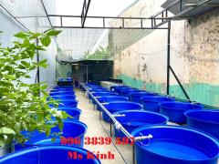 Cung cấp thùng nhựa tròn nuôi cá, chậu nhựa trồng cây, đựng hóa chất  - 096 3839 597 Ms Kính