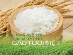 Gạo Tươi Việt