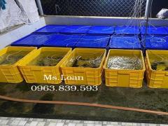 Sóng bít 3T1 có nắp đựng linh kiện, thực phẩm / 0963 839 593 Ms.Loan