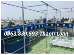 Thùng nhựa 2000L chữ nhật nuôi cá Koi, thùng nhựa công nghiệp 2000lit mới / 0963.839.593 Ms.Loan