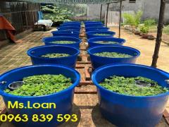 Thùng nhựa trồng cây, thùng nhựa tròn, tank nhựa lắp đặt hệ thống Aquaponics / 0963 839 593 Loan