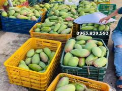 Cc cần xé nhựa, sọt tròn, sọt chữ nhật đựng rau củ quả / 0963 839 593 Ms.Loan