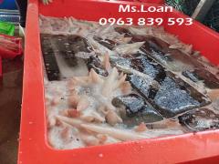 Thùng đá thái lan 800lit trữ hải sản khối lượng lớn / 0963 839 593 Ms.Loan